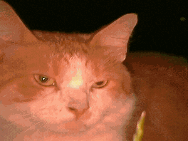 Samsung camera feature gif